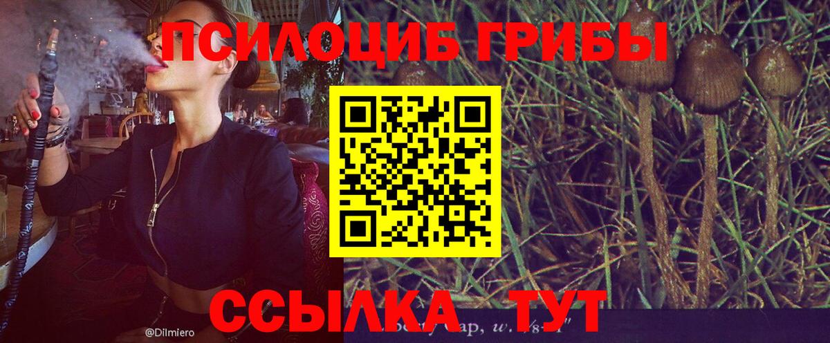 Галлюциногенные грибы MAGIC MUSHROOMS Назарово